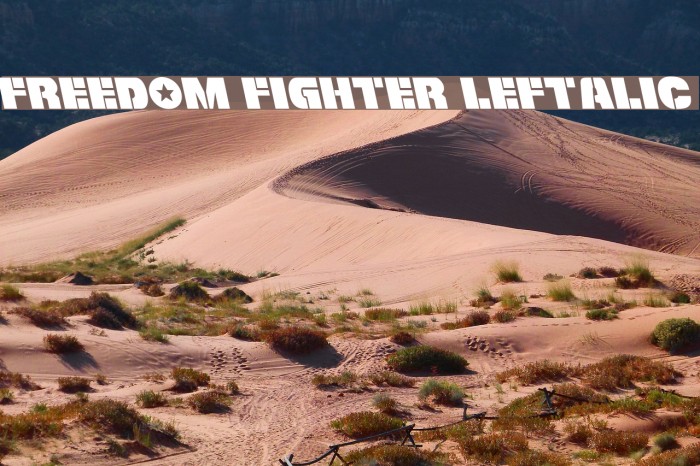 Freedom Fighter Leftalic Font examples
