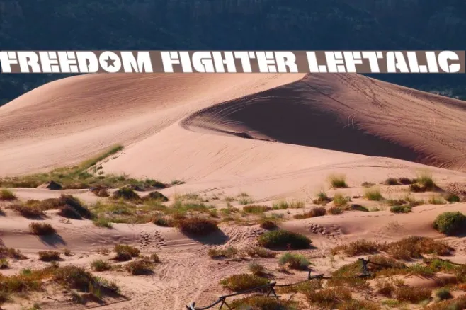 Freedom Fighter Leftalic Example 3