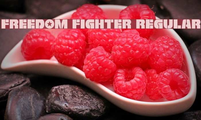 Freedom Fighter Regular Font examples