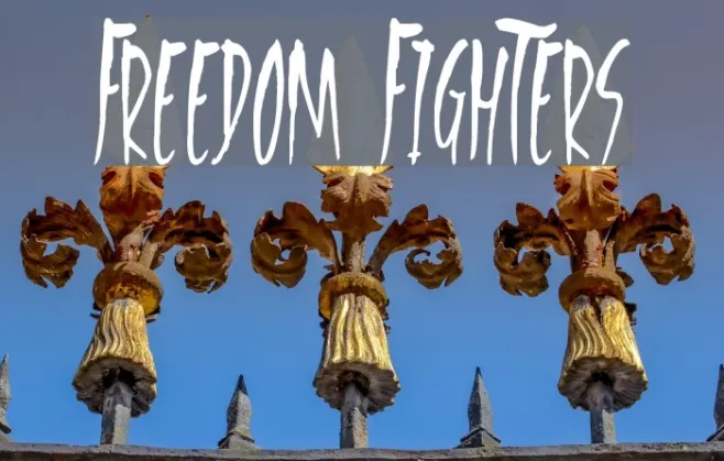 Freedom Fighters Example 1