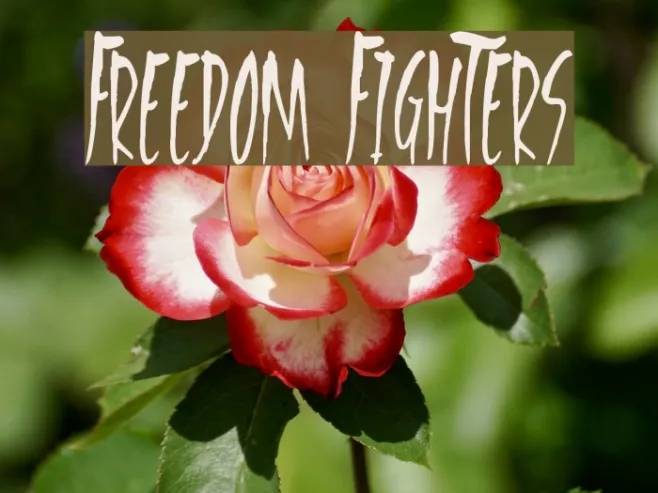 Freedom Fighters Example 3
