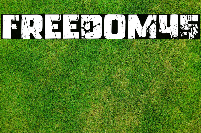 Freedom45 Example 1