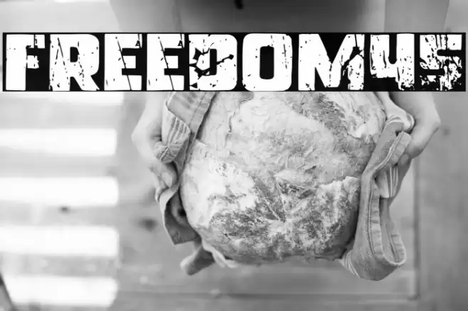 Freedom45 Font examples