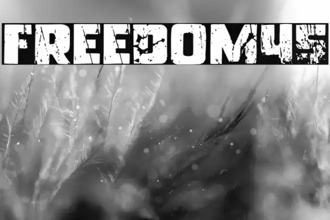 Freedom45 Font examples