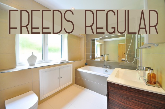 Freeds Regular Font examples