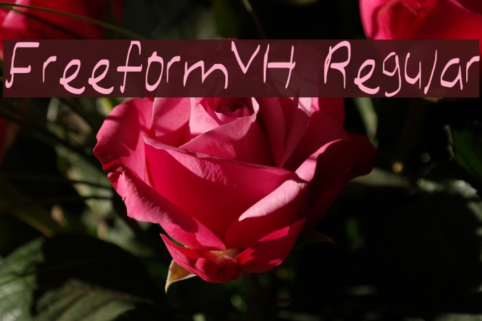 FreeformVH Regular Font examples