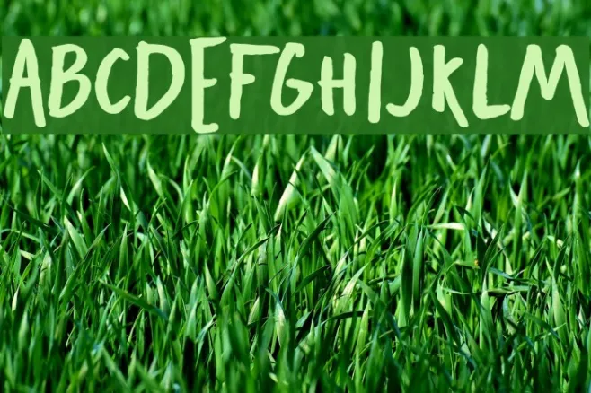 Freehand Blockletter Bold Example 3