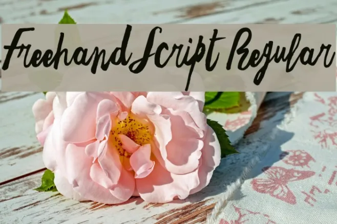 Freehand Script Regular Example 2
