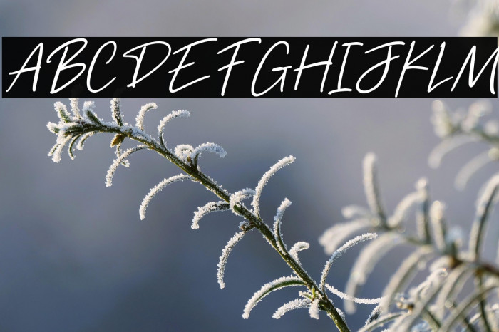 Freehand Signature Example 2