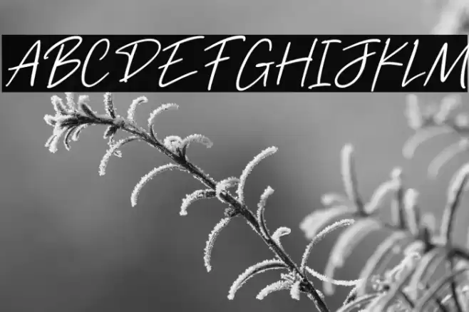 Freehand Signature Font examples