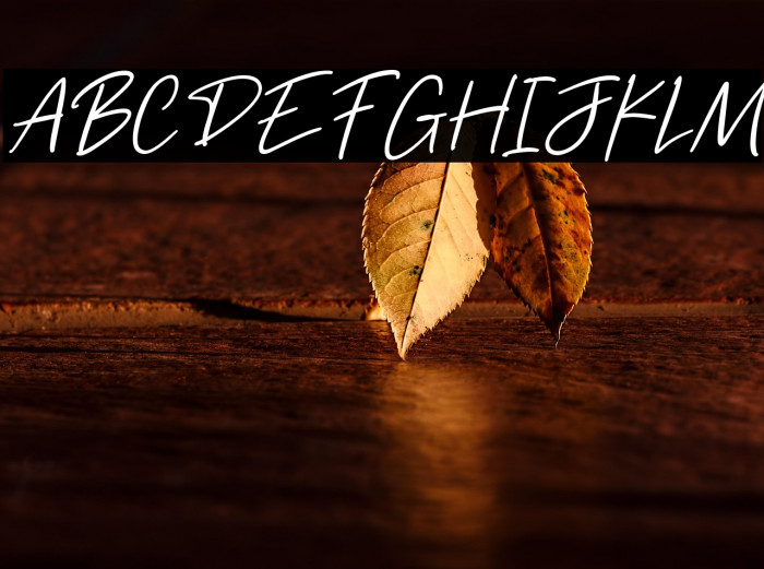 Freehand Signature Example 3