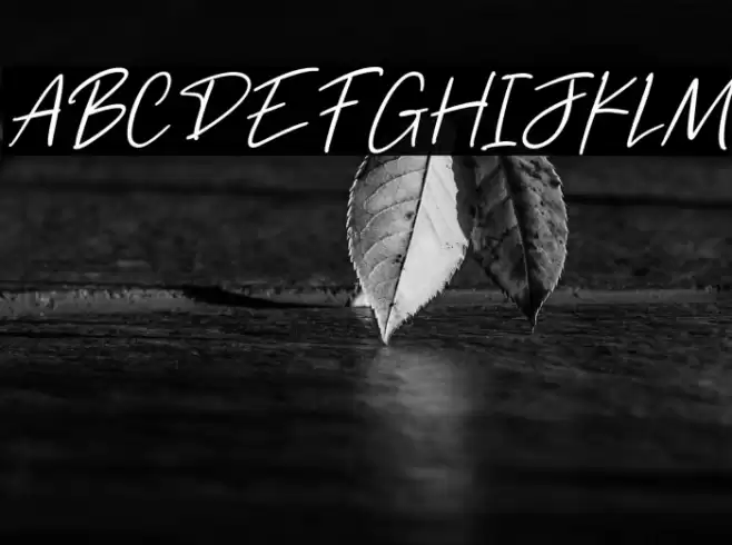 Freehand Signature Font examples