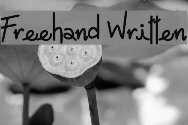 Freehand Written Font examples
