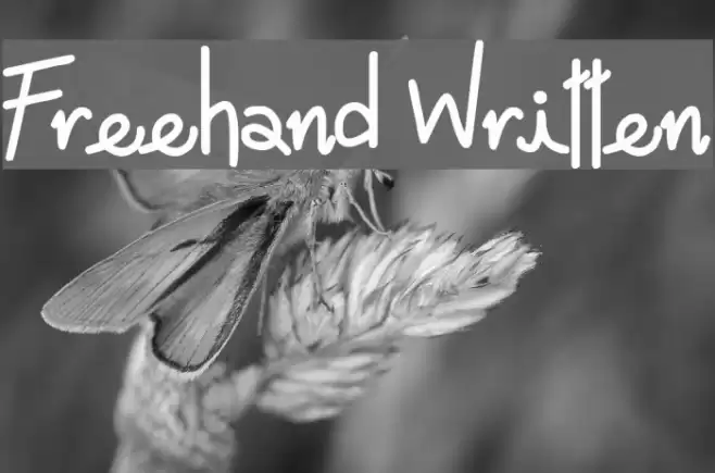 Freehand Written Font examples
