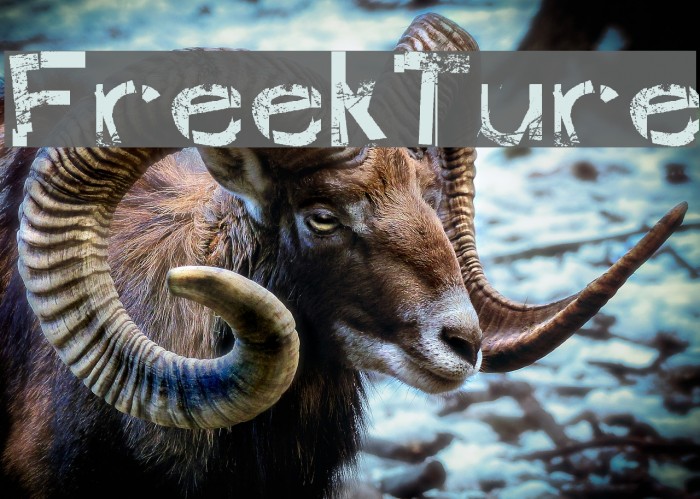 FreekTure Font examples