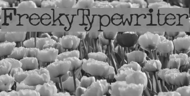 FreekyTypewriter Font examples