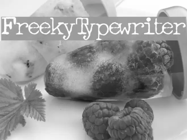 FreekyTypewriter Font examples