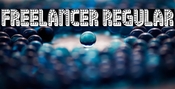 Freelancer Regular Example 1