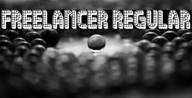 Freelancer Regular Polices examples