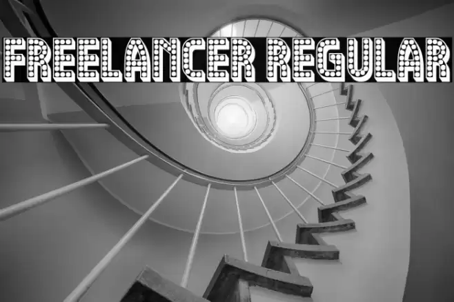 Freelancer Regular Polices examples
