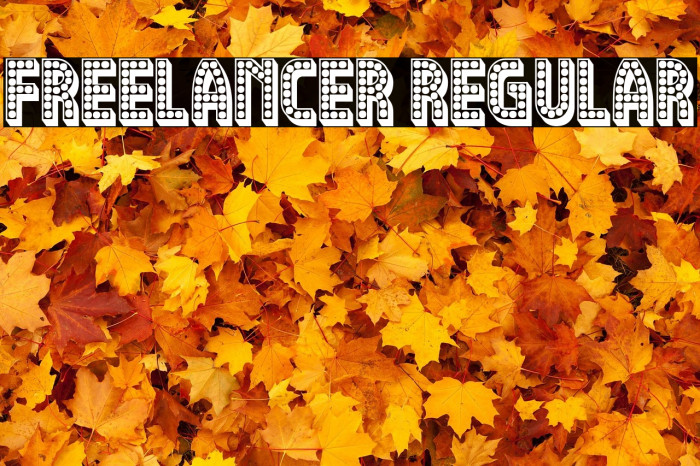 Freelancer Regular Example 3