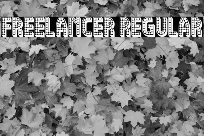 Freelancer Regular Polices examples