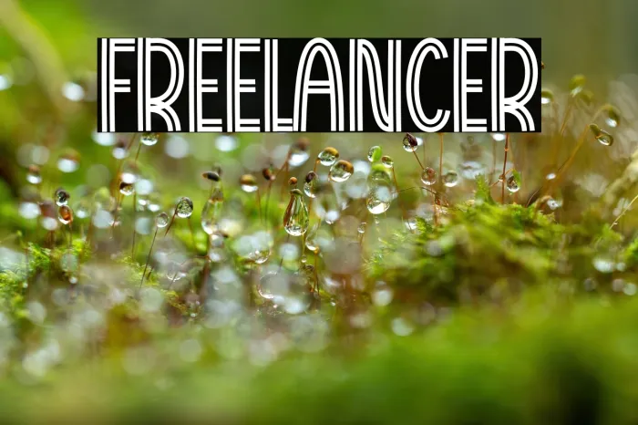 Freelancer Example 1