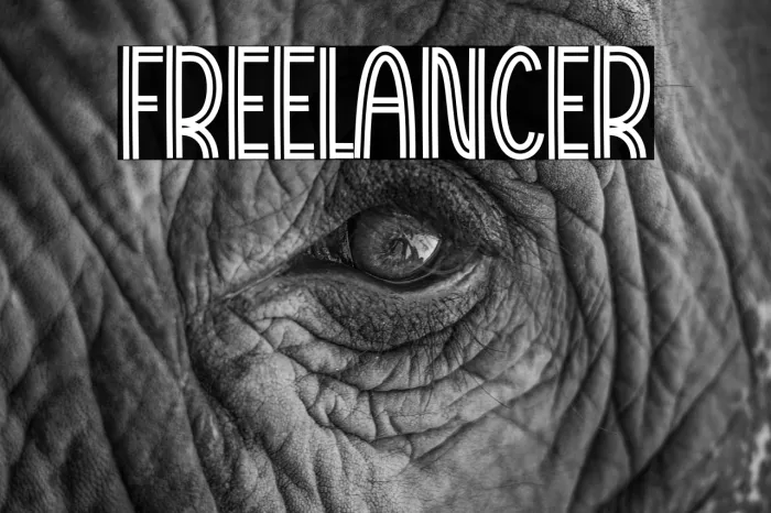 Freelancer Example 2