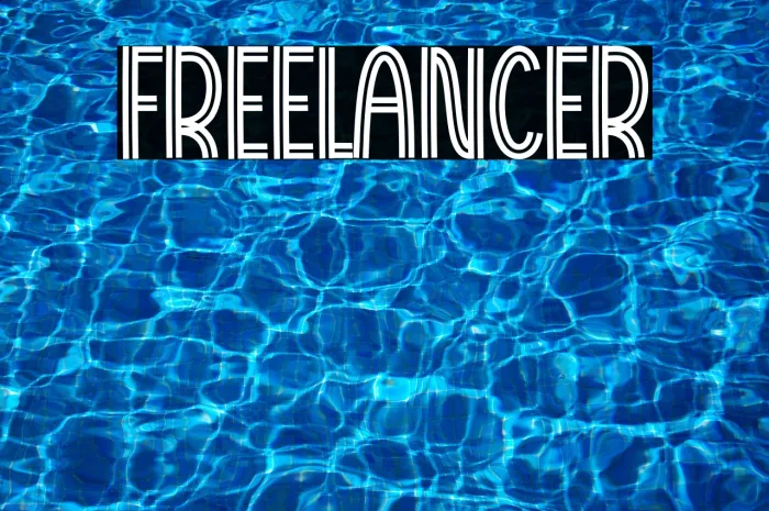 Freelancer Example 3