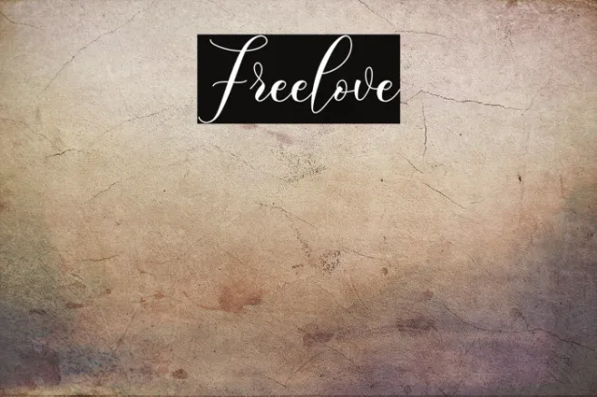 Freelove Example 1