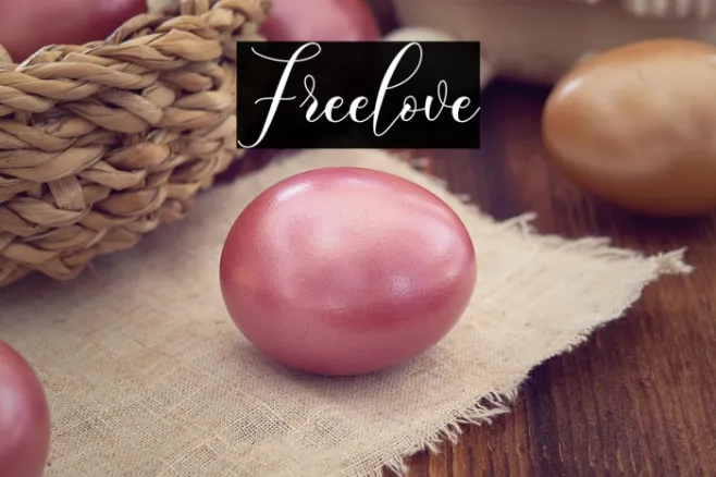 Freelove Example 3