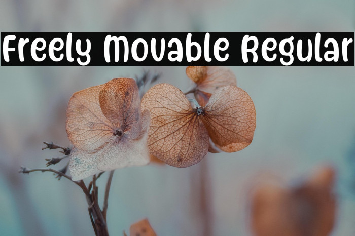 Freely Movable Regular Example 1