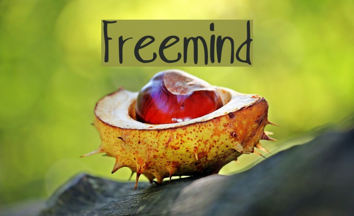 Freemind Font examples