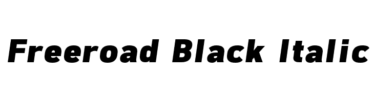 Freeroad Black Italic Font