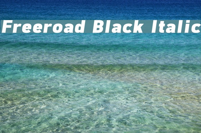 Freeroad Black Italic Font examples
