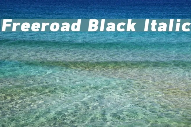 Freeroad Black Italic Example 1