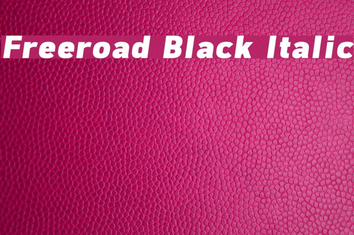 Freeroad Black Italic Font examples