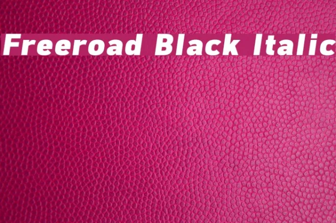Freeroad Black Italic Example 3