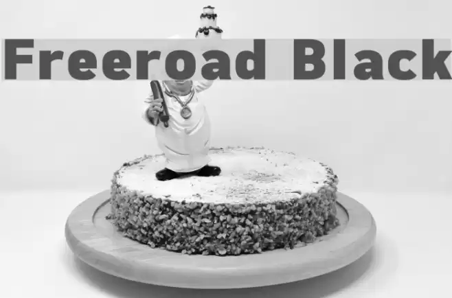 Freeroad Black Schriftart examples