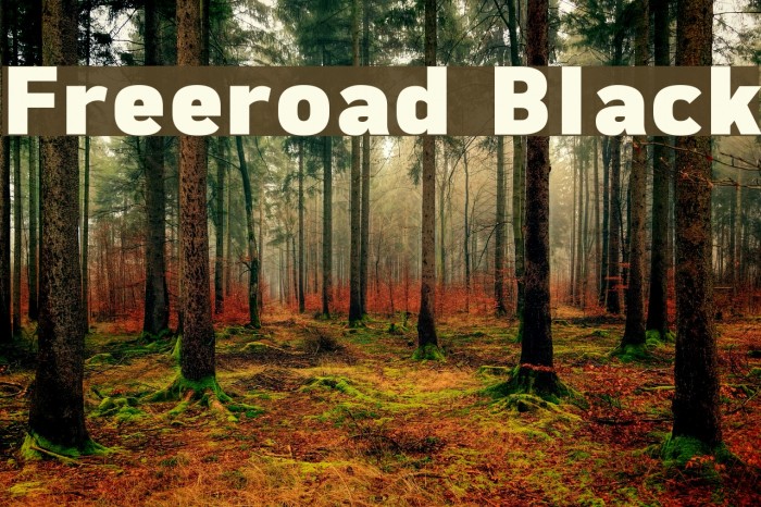 Freeroad Black Font examples