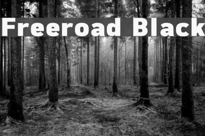 Freeroad Black Schriftart examples