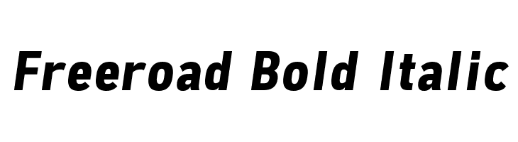 Freeroad Bold Italic Font