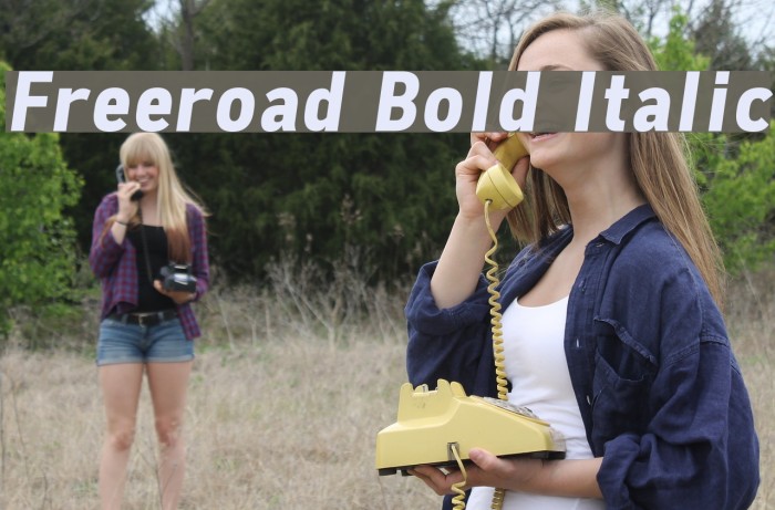 Freeroad Bold Italic Font examples
