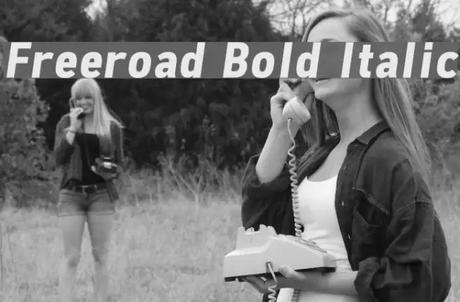 Freeroad Bold Italic examples