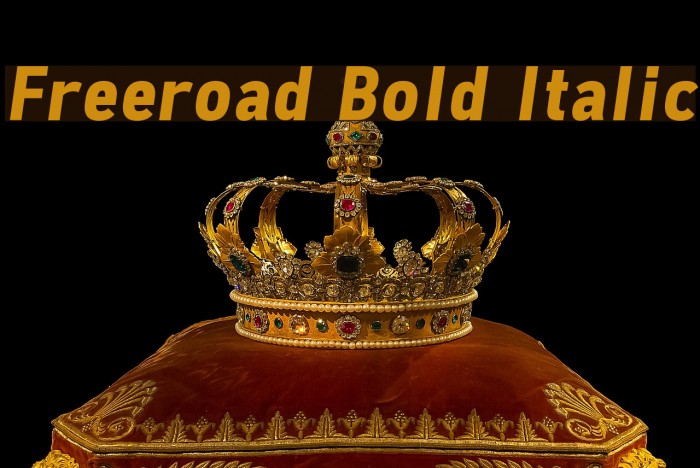 Freeroad Bold Italic Font examples