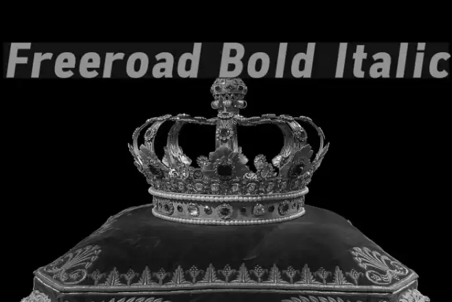 Freeroad Bold Italic examples