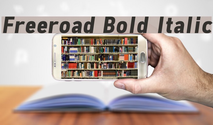 Freeroad Bold Italic Font examples