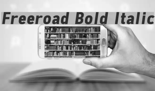 Freeroad Bold Italic examples