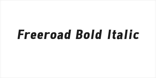 Freeroad Bold Italic Logo