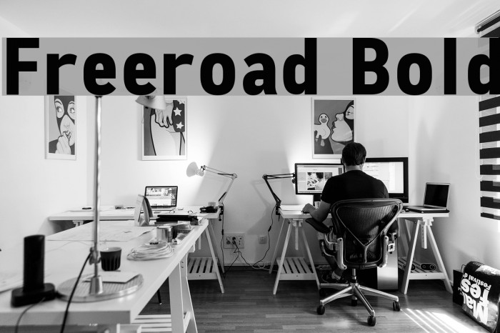 Freeroad Bold Font examples